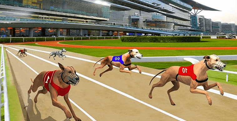 VIRTUAL DOG ​​​​RACING