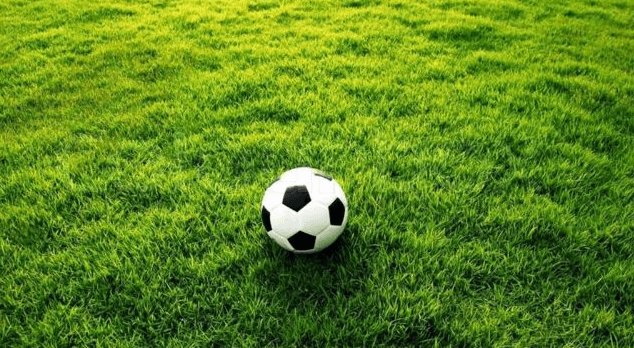 สนามหญ้าฟุตบอลคืออะไร
